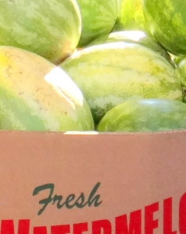 Hay Market II by Diane Sheridan