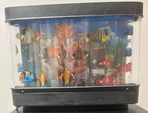 a green flash at sunset, 2024 by Indigo Conant-Naar