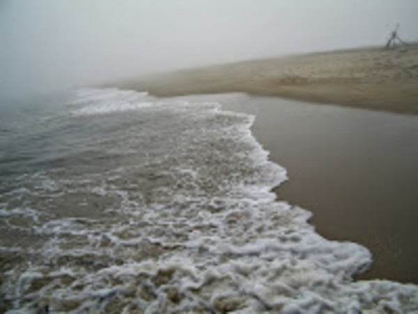 A Walk on the Beach by Susan Johnson