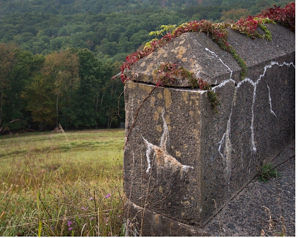 Ashokan 4 by Raphael Warshaw