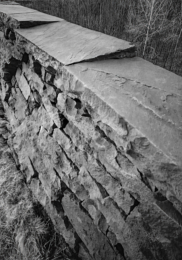 Ashokan Wall 1 by Raphael Warshaw
