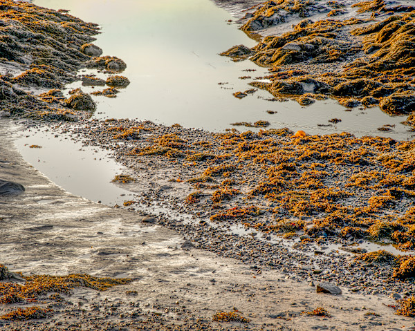 Maine 4 by Raphael Warshaw