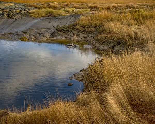 Maine Pondside 4 by Raphael Warshaw