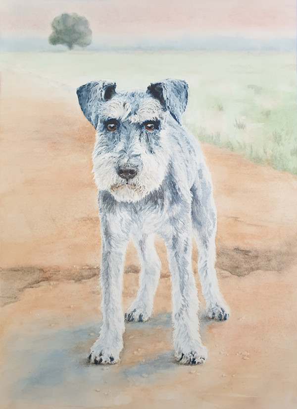Rupert by Sara Miller