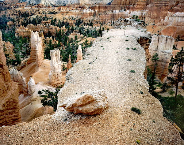 Above Queen's Garden Trail, Bryce Canyon, Utah 2/25 by James Baker