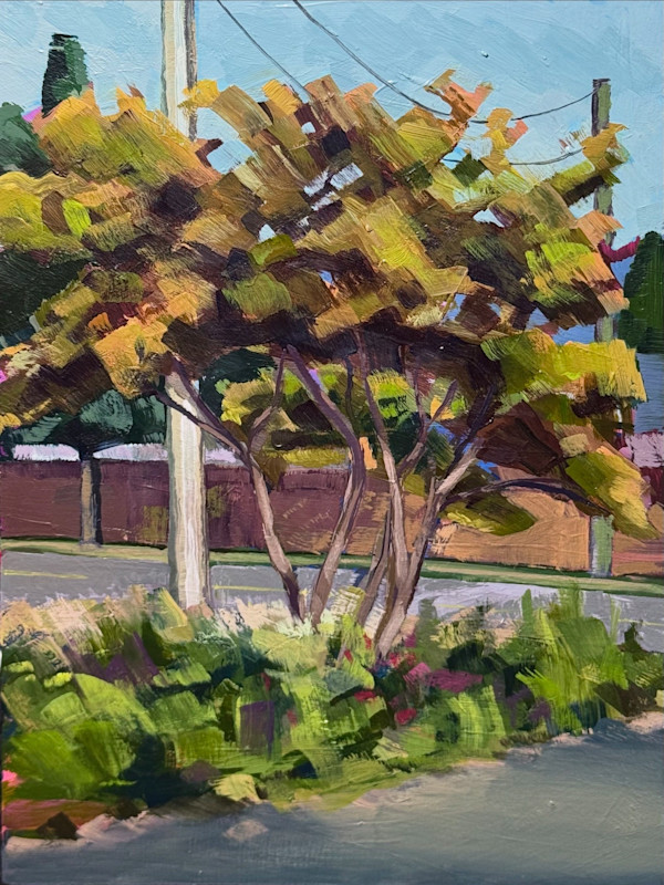 Turning maple by Connor Kouwenhoven