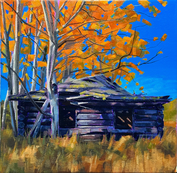 Turtle cabin by Connor Kouwenhoven