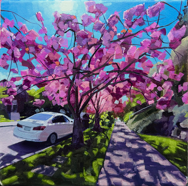 Cherry blossoms by Connor Kouwenhoven