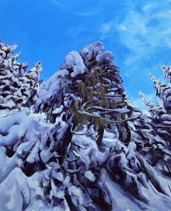 Snow Tree by Connor Kouwenhoven