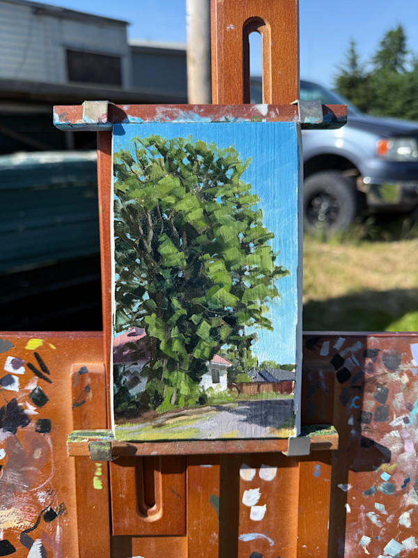 Black walnut by Connor Kouwenhoven