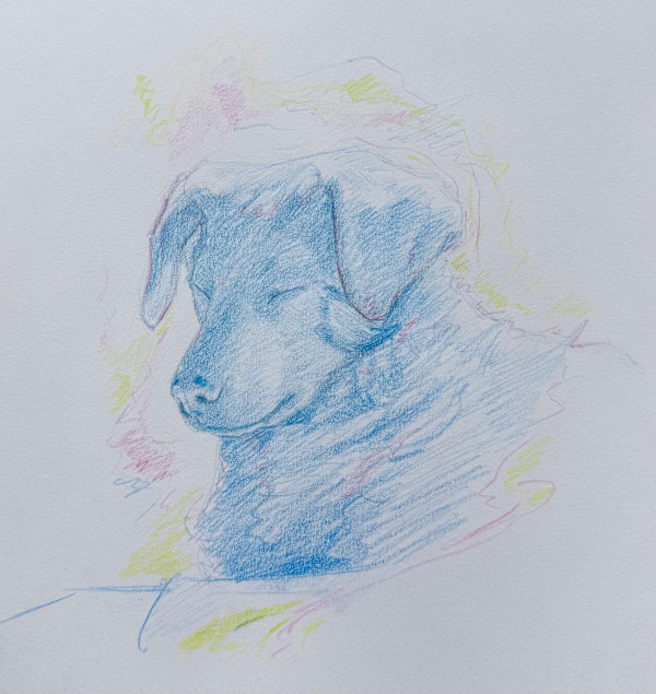 Aurie by Connor Kouwenhoven