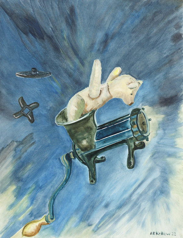 Fleischwolf Politics by Ada-Ruth Kellow