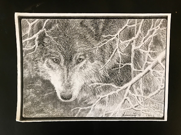 Wolf by Timothy C. Weinmeister