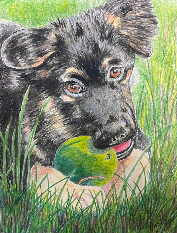 Wanna Play? by Gary K. Farlow