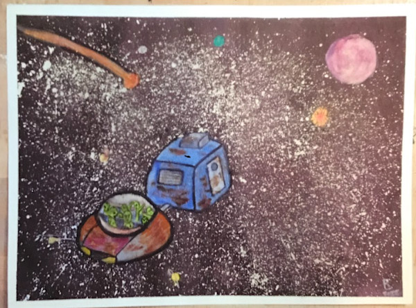 Redneck Space Travel by Rick Luellen