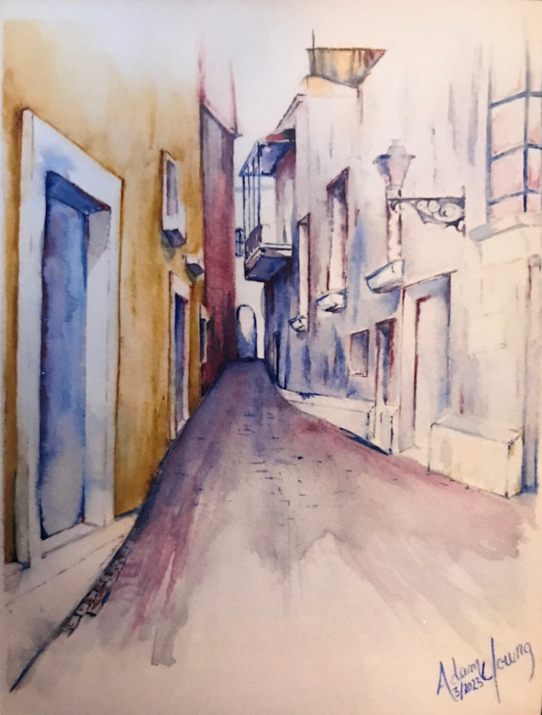The Alley by Adam Young