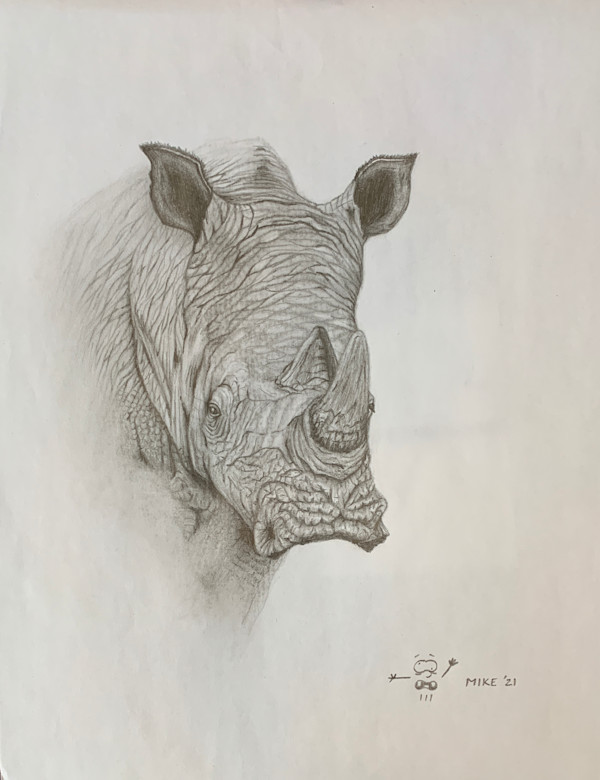 Rhino by Cuong "Mike" Tran