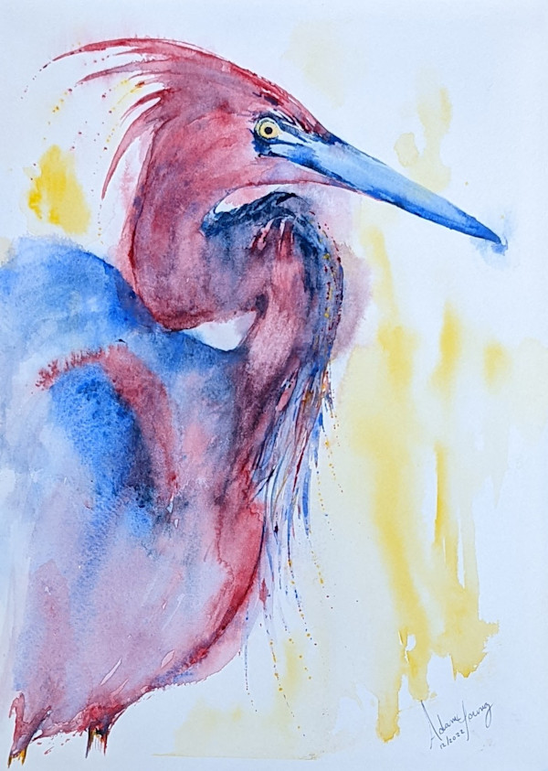 Heron by Adam Young