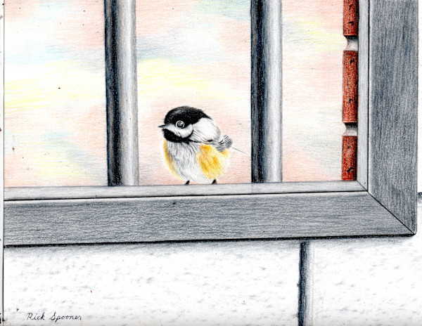 To Be Free Again by Rick Alvin Spooner
