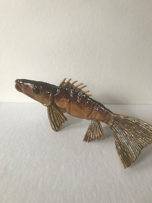 Fish by Charles Finney