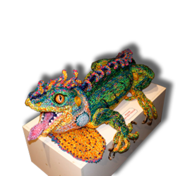 Iguana (Hogle Zoo) by Carole Alden