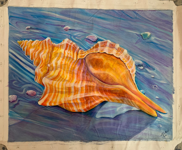Shell by Brian Hindson