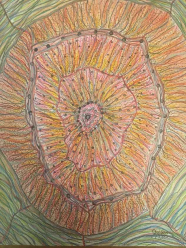 Color Burst by John W. Zenc
