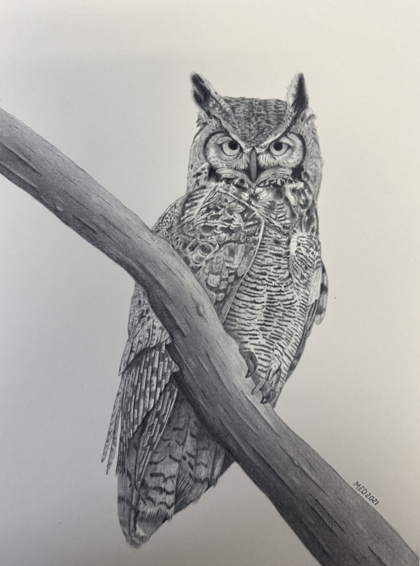 Night Watch - Great Horned Owl by Michael E. Dorcas