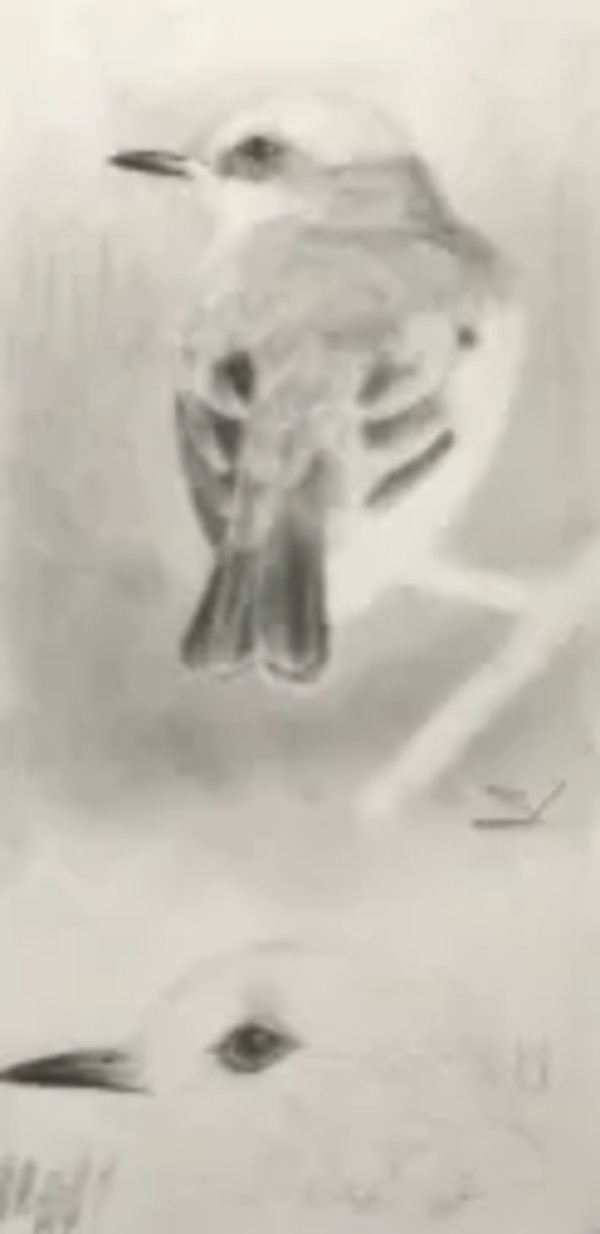 Not Titled by Samson Loynachan