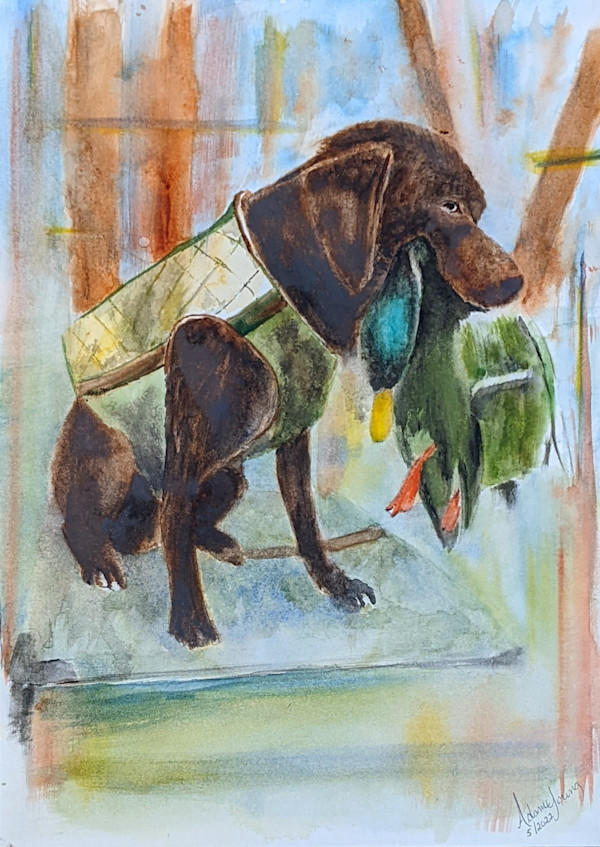 Bird Dog by Adam Young