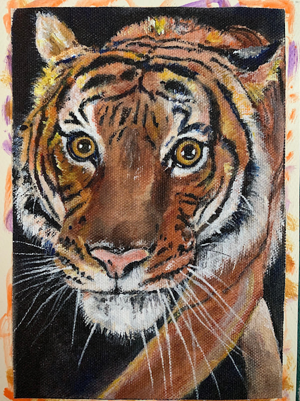 Tiger Card by Brian Hindson