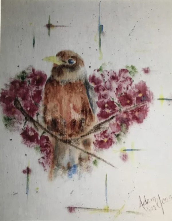 Robin Heart by Adam Young
