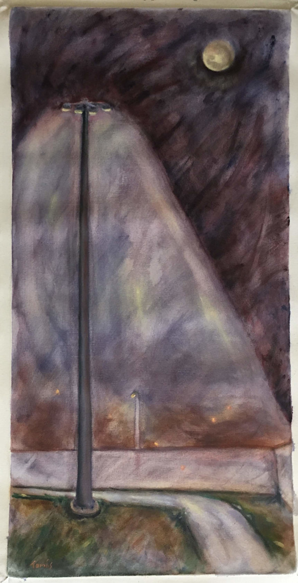 The Yard at Night by Tomas