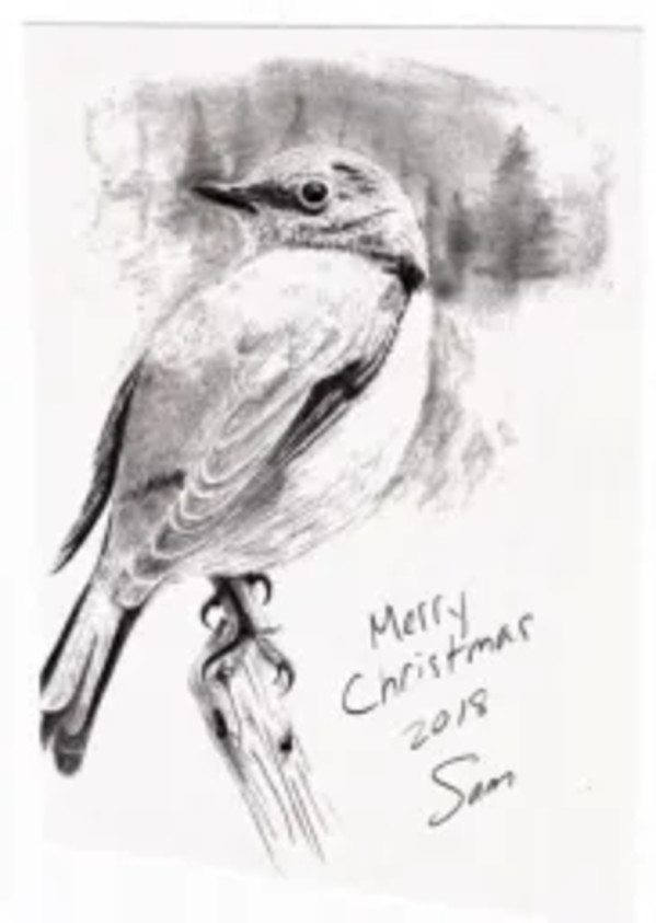 Merry Christmas by Samson Loynachan