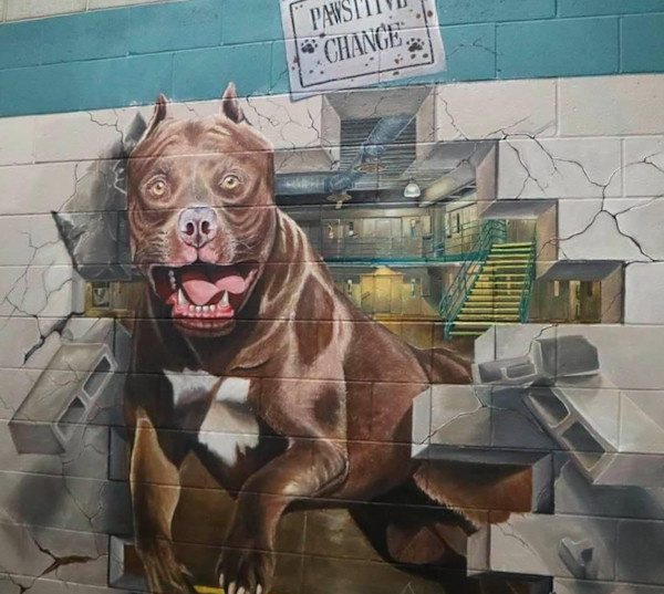 Mural for Positive Change Program by Nhut Vo