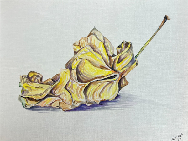 Rotting Apple by Brian Hindson