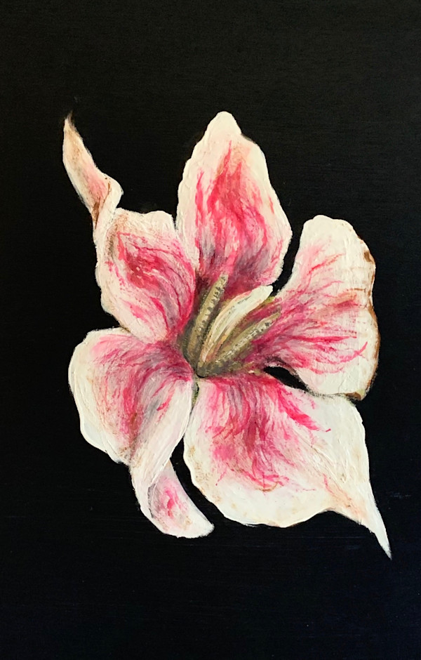 Flower in the Dark 1 by Melissa Anne Hernandez