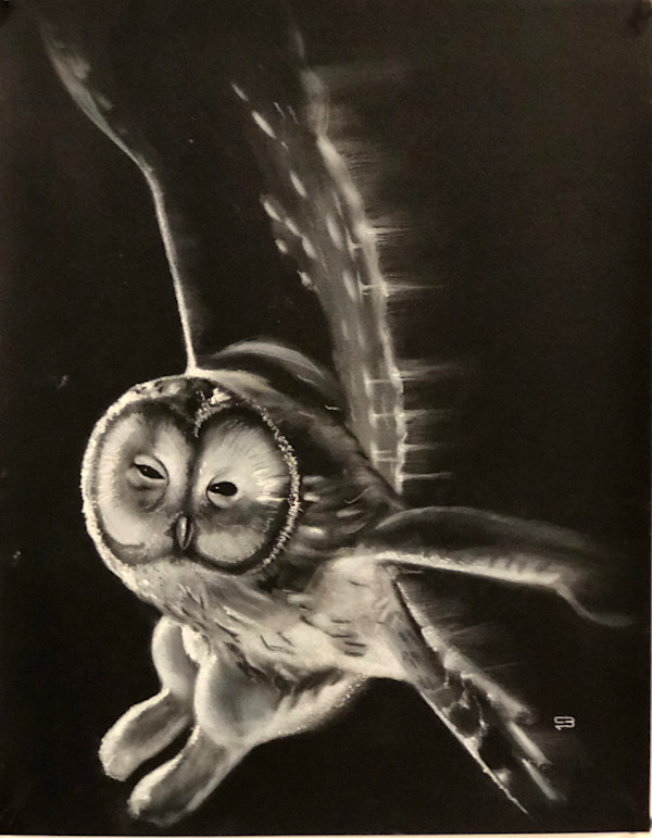 Owl by i.i. LoTD