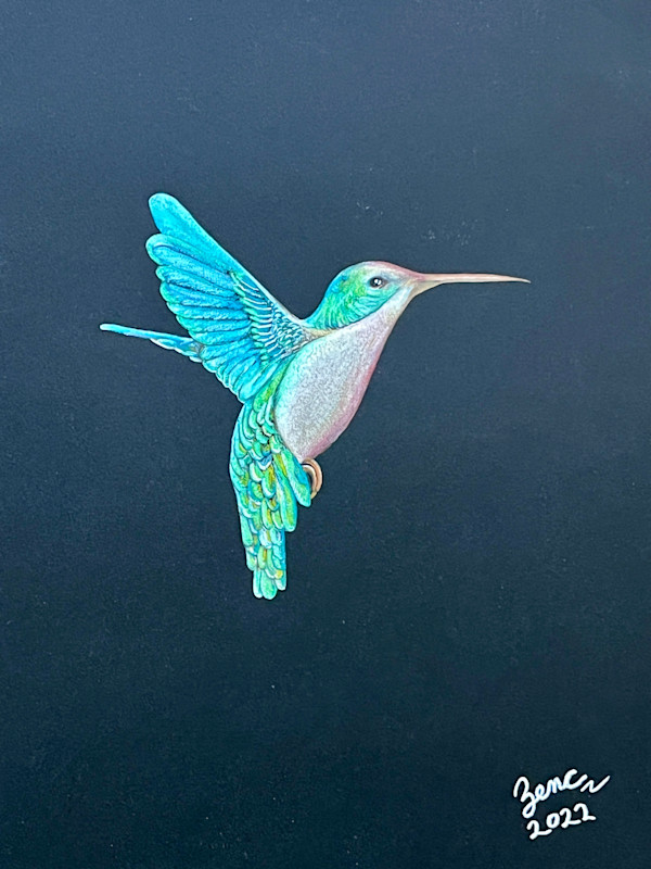 Night Flight by John W. Zenc