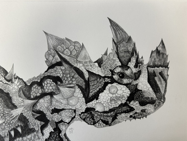 Prickly Disguise - Thorny Devil by Michael E. Dorcas