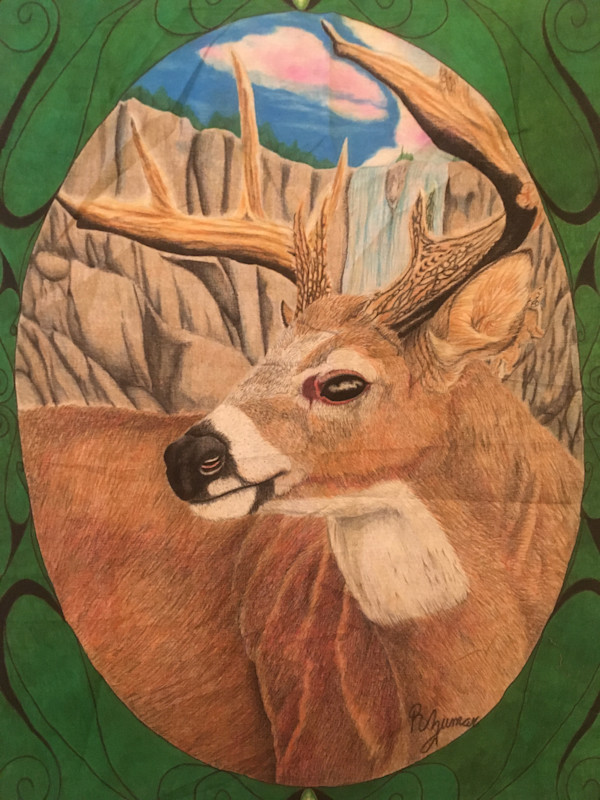 White Tail in front of Waterfall by R. Zumar