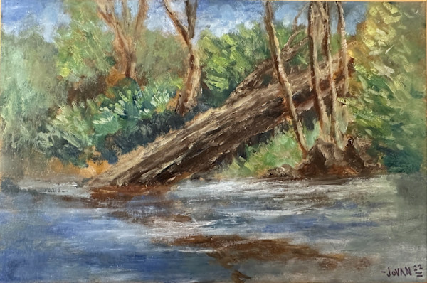 Fallen Tree by Jovan Villela