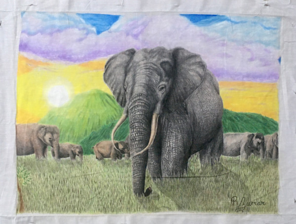 Elephants by R. Zumar