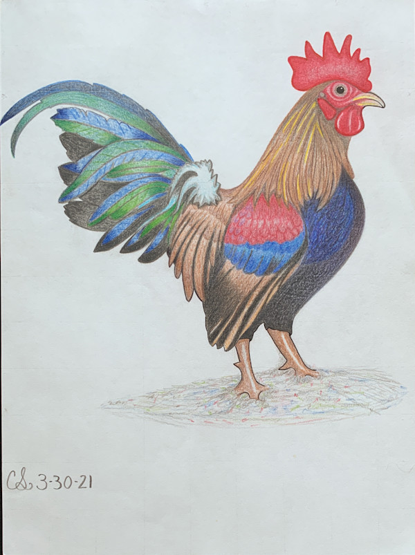 The Proud Rooster by Cory Sitsler