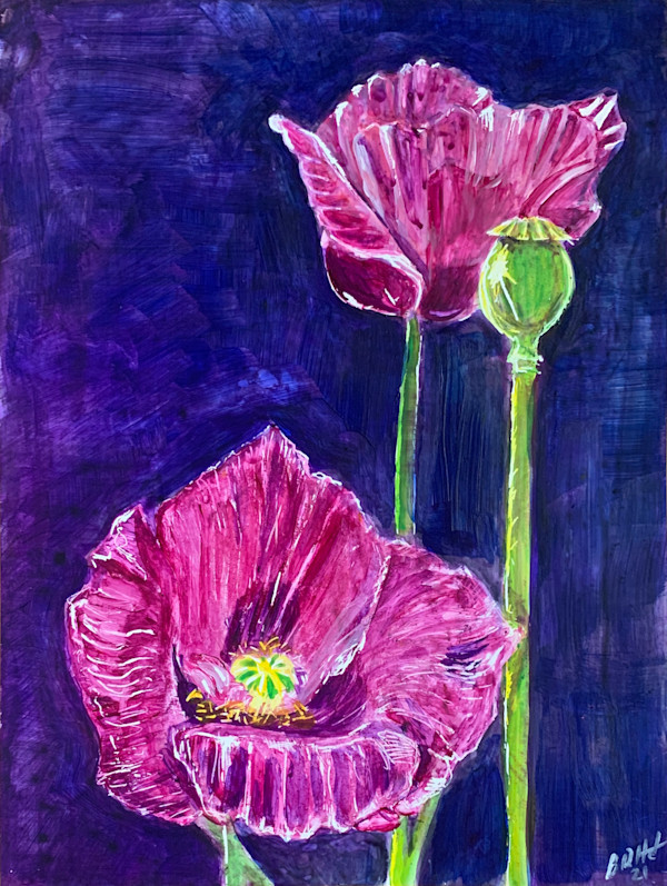 Poppies by Brian Hindson