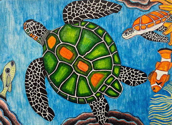 The Turtle by Scotty Scott