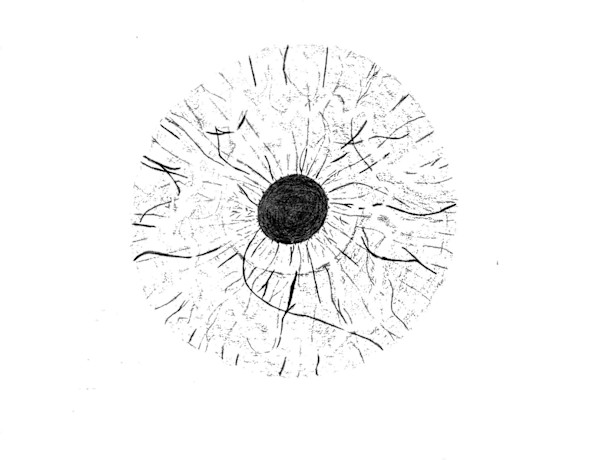 "Vision - Universal" by D'Andre Morris