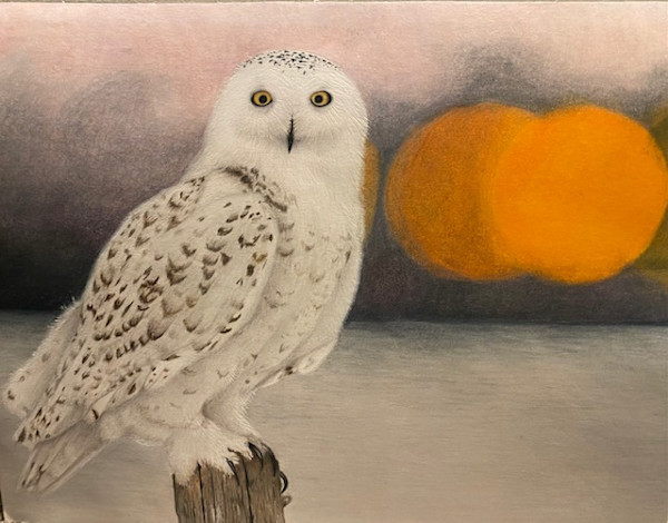 No title by Dominique Merritt