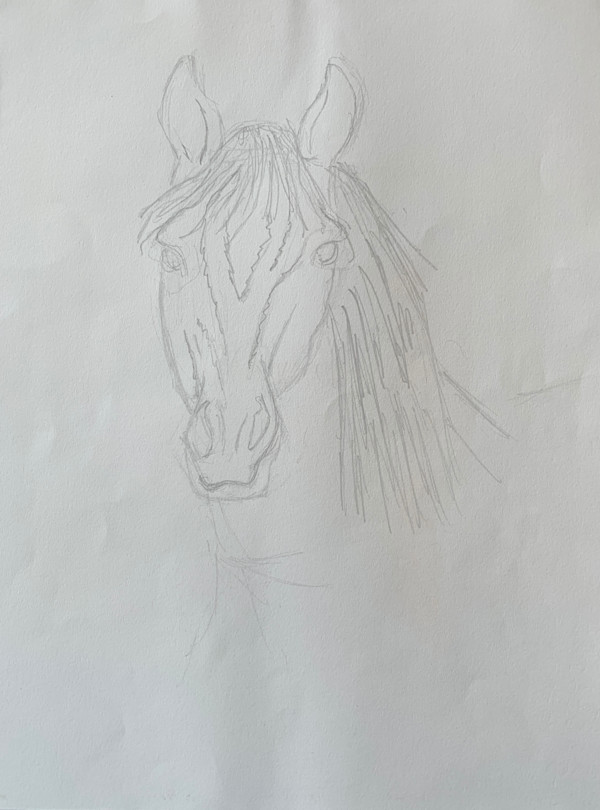 Untitled sketches by Sean J. White