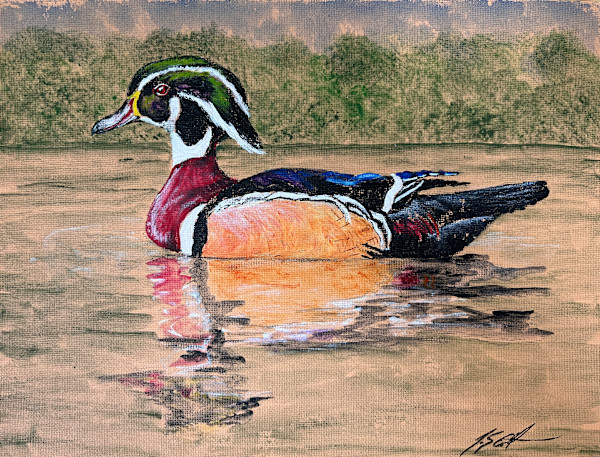 Wood Duck II by J. Scott